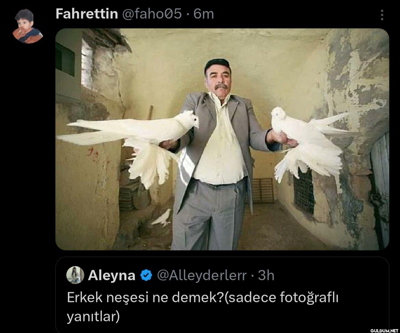 6m Aleyna @Alleyderlerr 3h...
