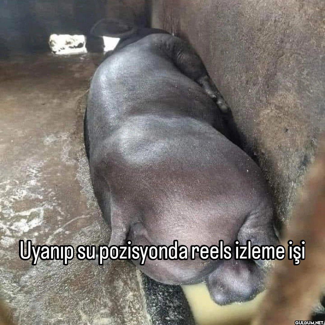 Uyanıp su pozisyonda reels...