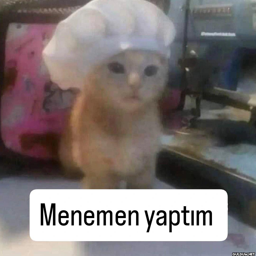 Menemen yaptım