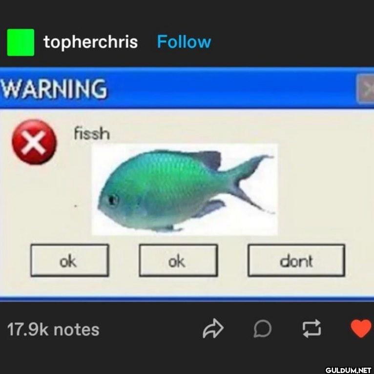 topherchris Follow WARNING...
