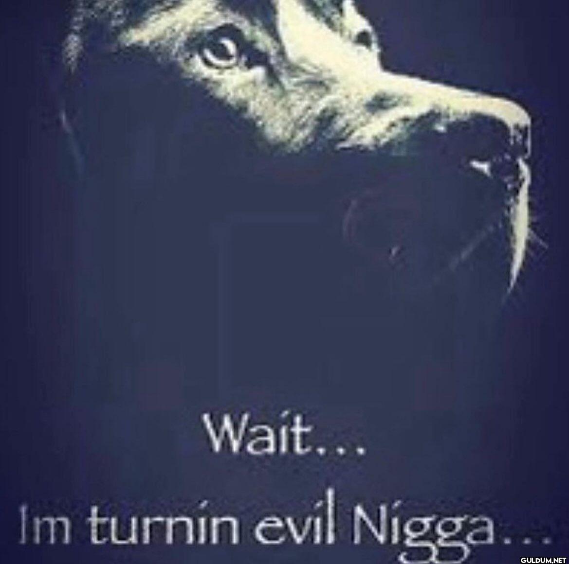 Wait... Im turnin evil Nigga...