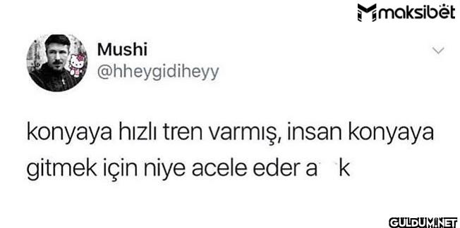 konyaya hızlı tren varmış,...