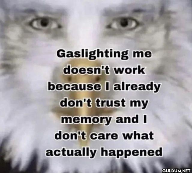 Gaslighting me doesn't...