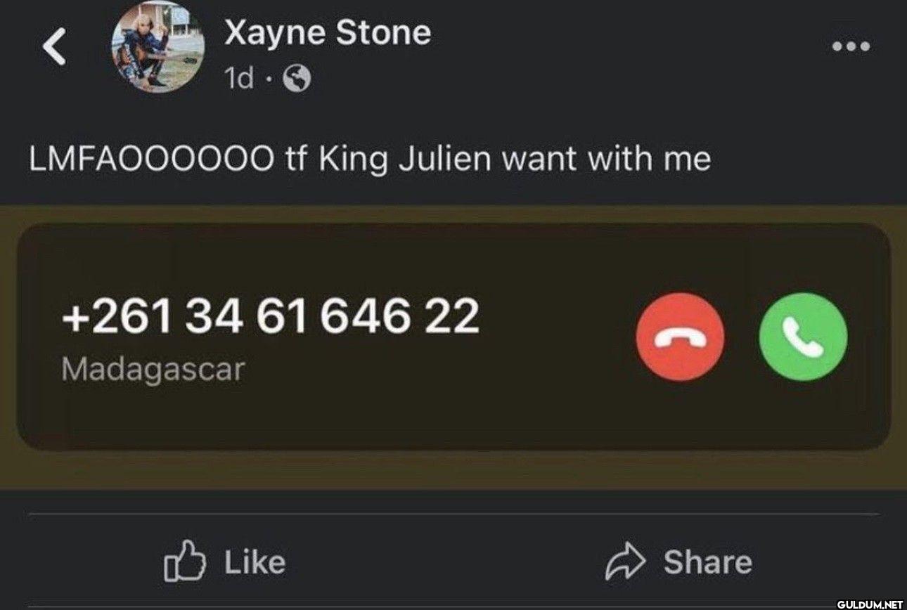 Xayne Stone 1d LMFAOOOOOOO...