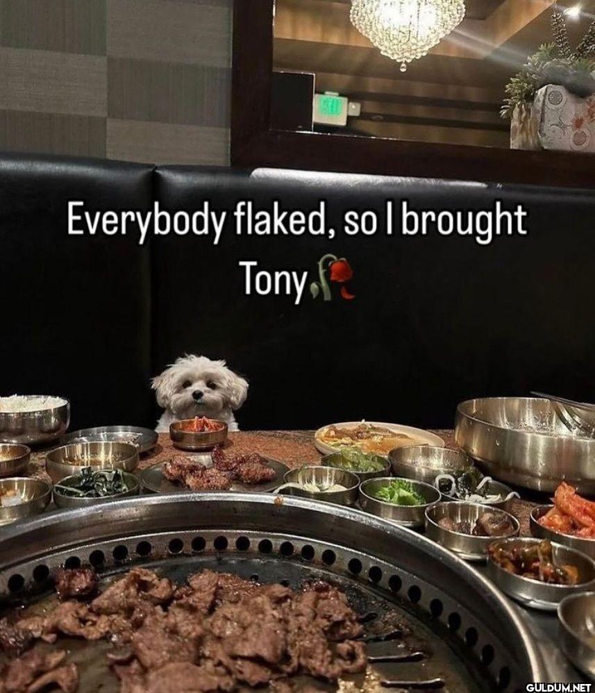 Everybody flaked, so I brought Tony