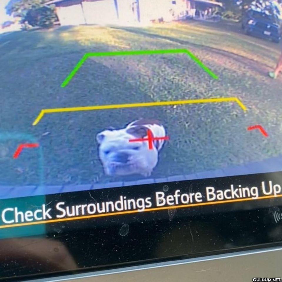 Check Surroundings Before...