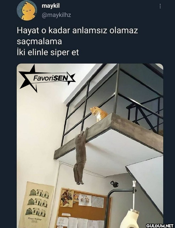 Hayat o kadar anlamsız...