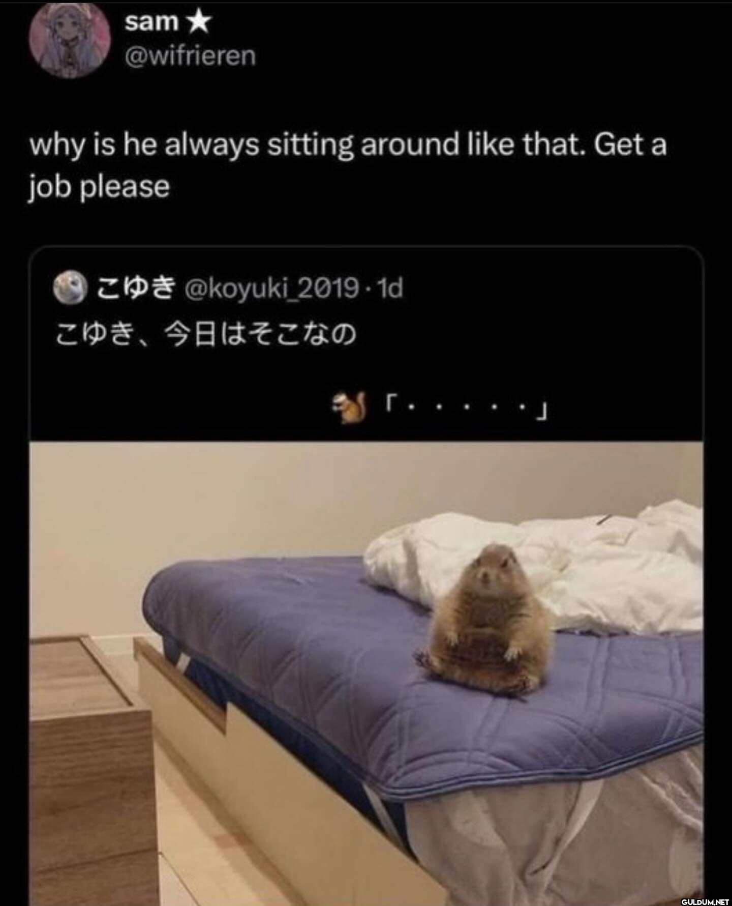 why is he always sitting...