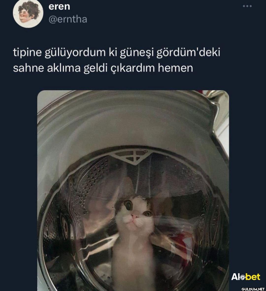 tipine gülüyordum ki...