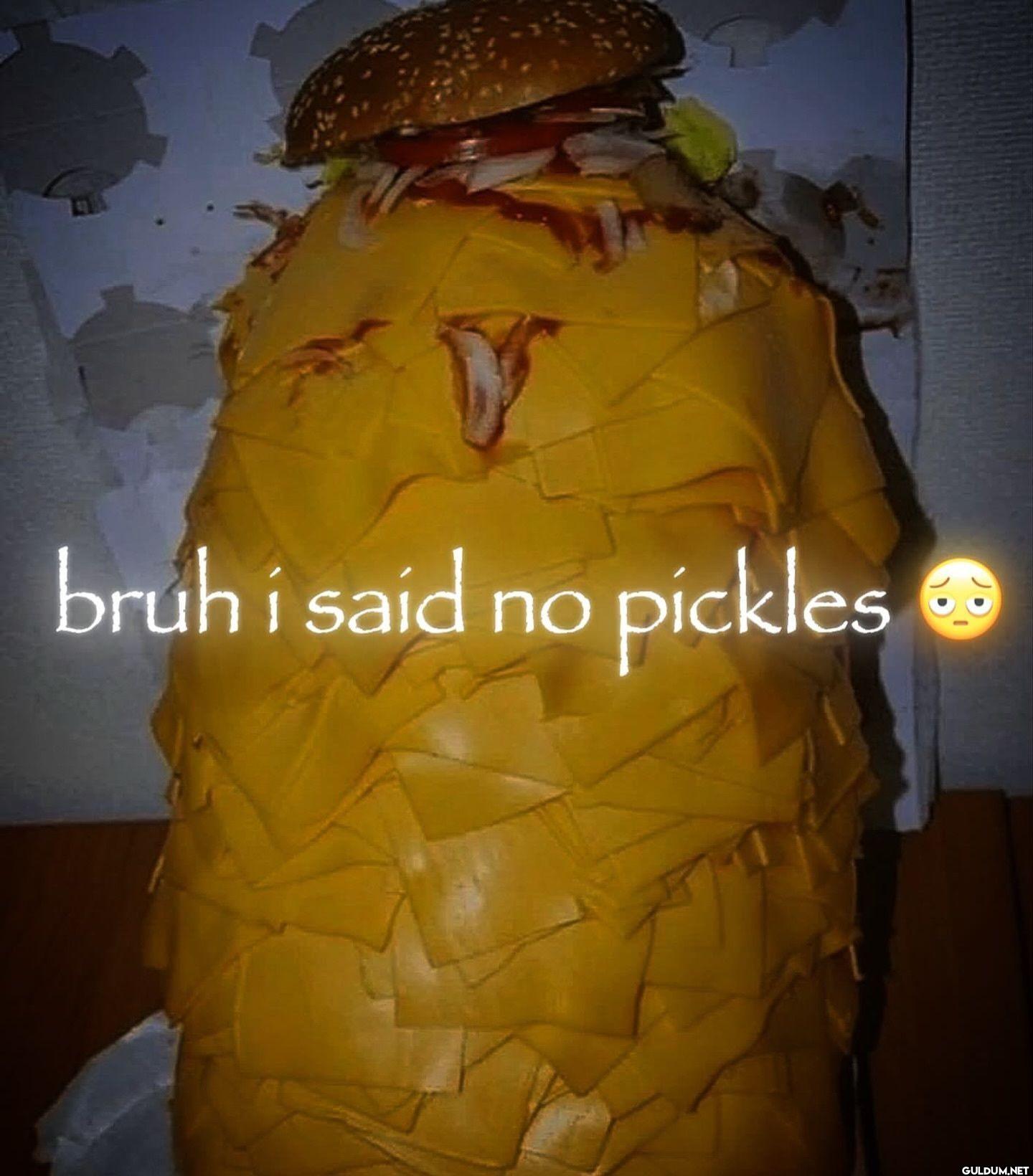bruh i said no pickles