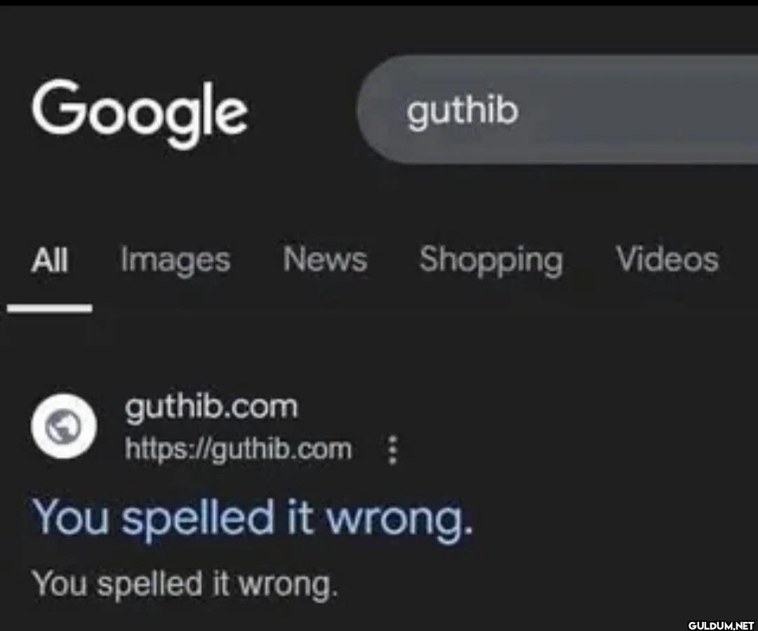Google guthib All Images...