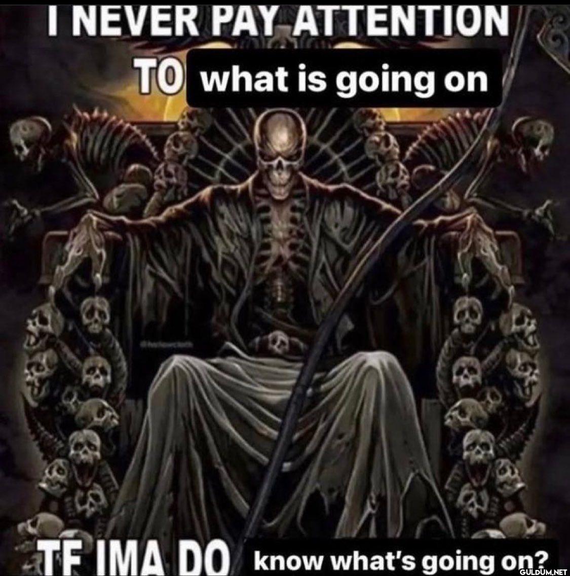 I NEVER PAY ATTENTION TO...