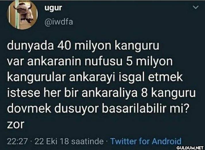 dunyada 40 milyon kanguru...