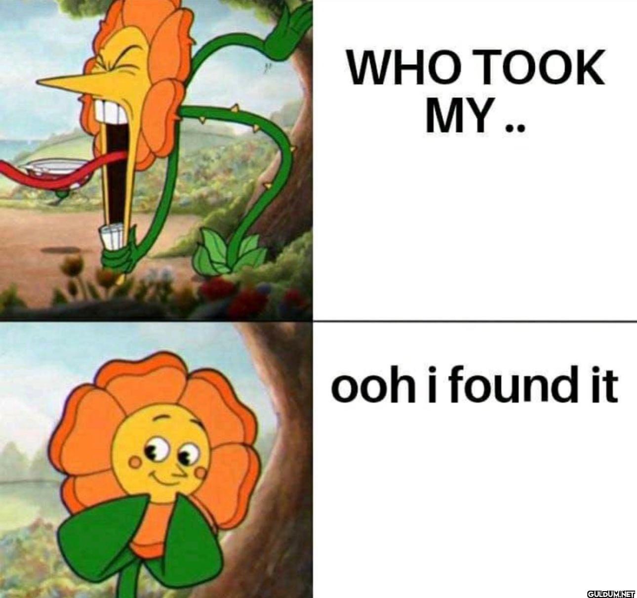 WHO TOOK MY.. ooh i found it