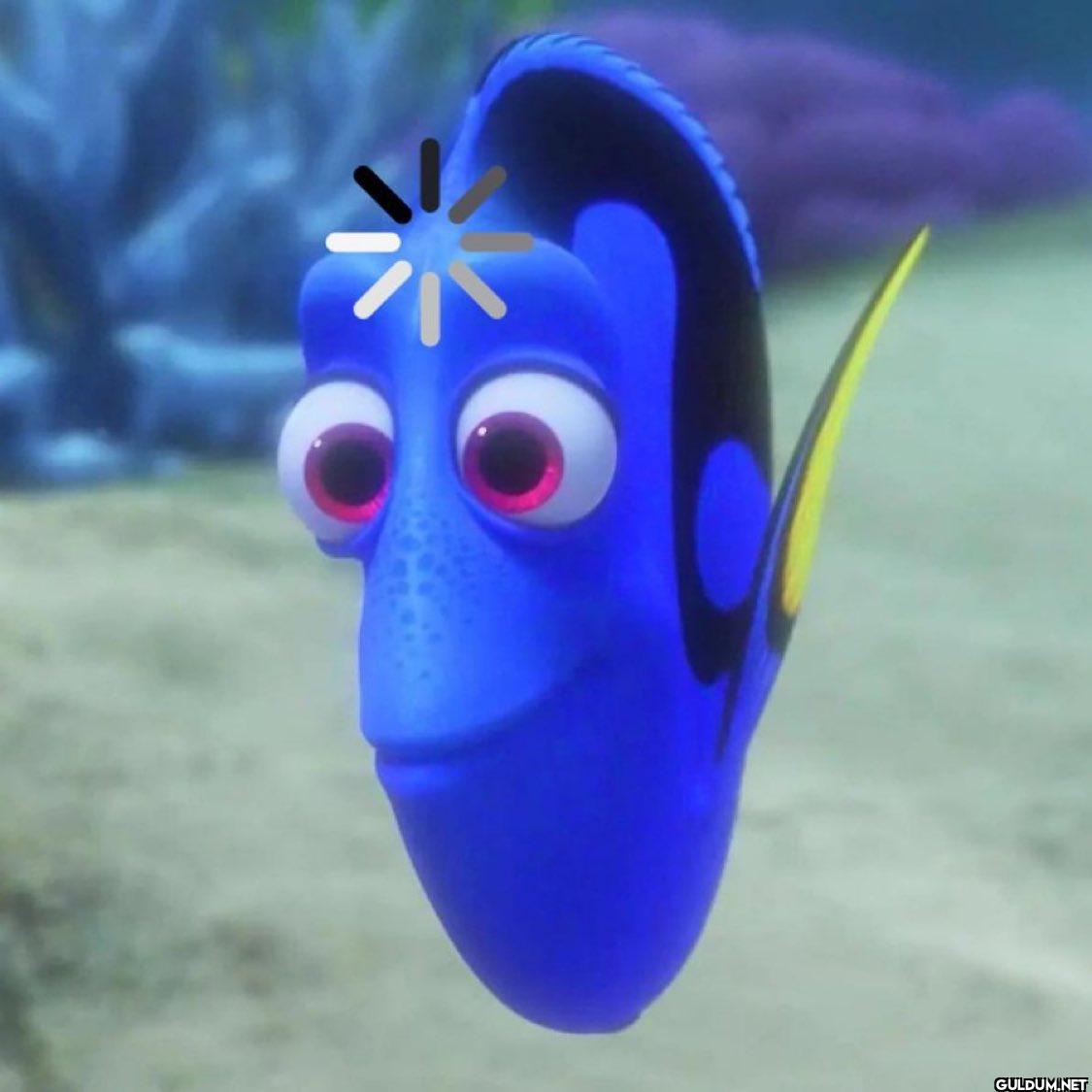 me mid conversation with anyone