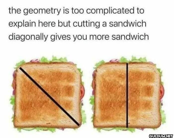 the geometry is too...