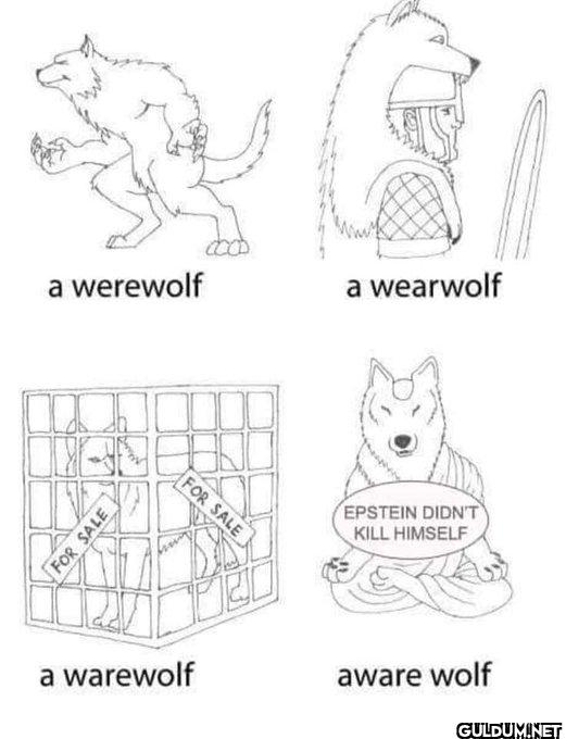 Just gonna leave this...