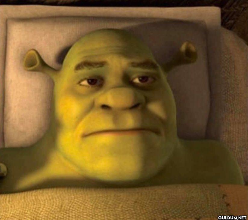 me at 3am trying to plan...