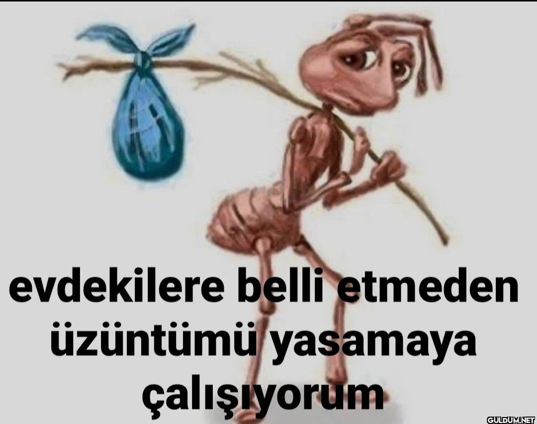 ४ evdekilere belli etmeden...