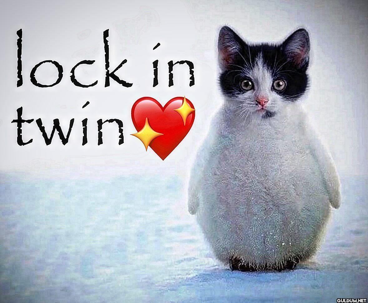 lock in twin