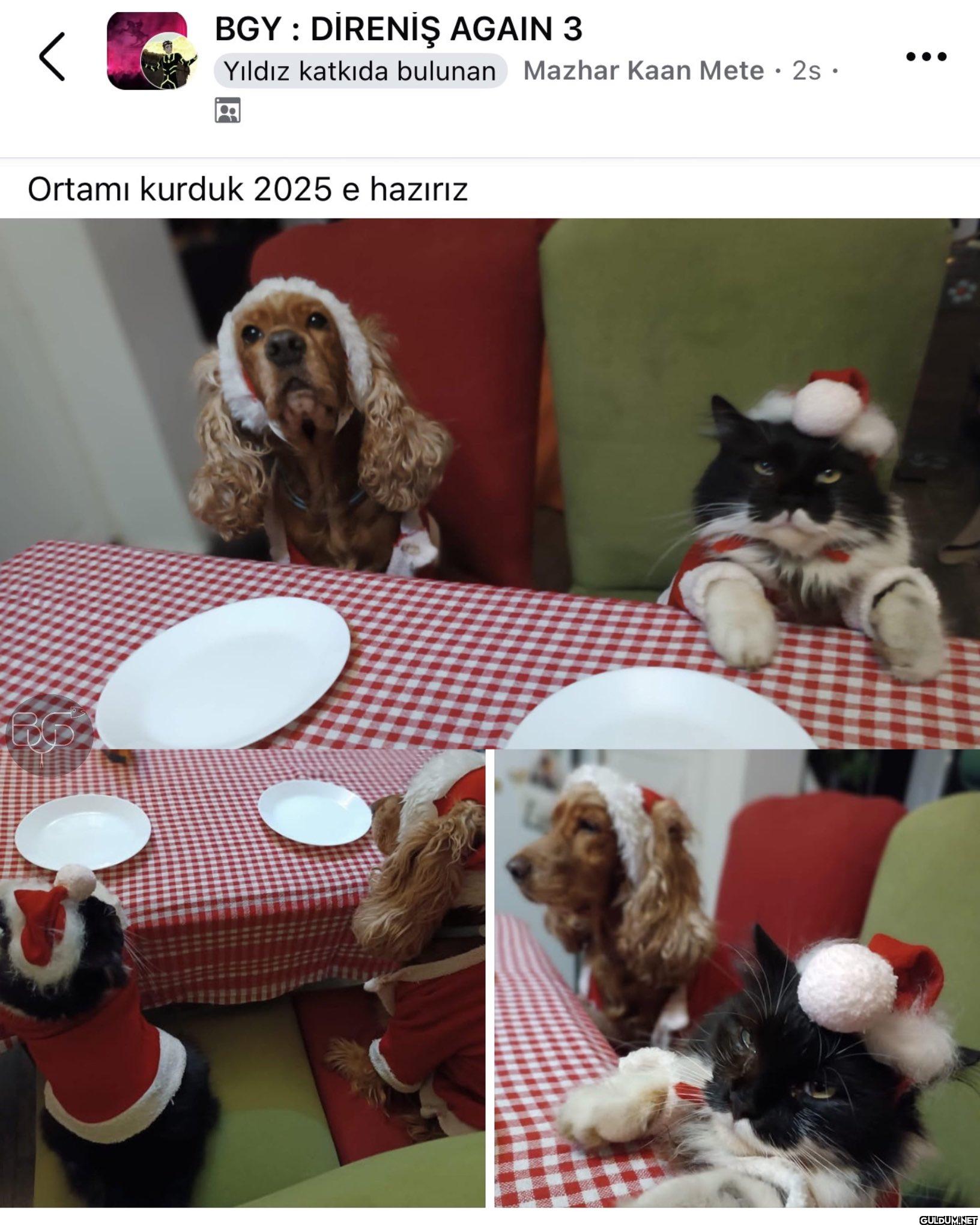 İşte 2024’ün en güzel...