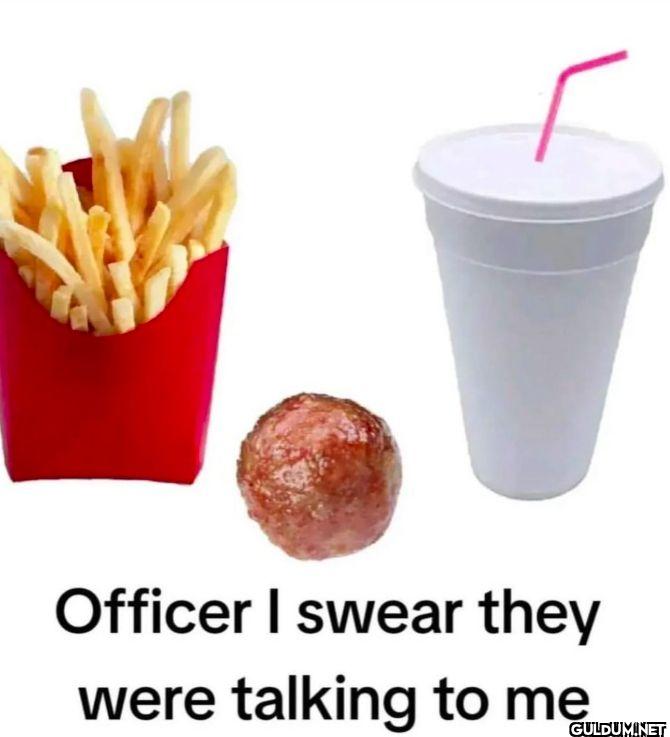 Officer I swear they were...
