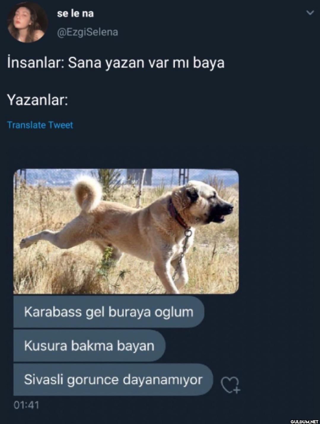 İnsanlar: Sana yazan var...