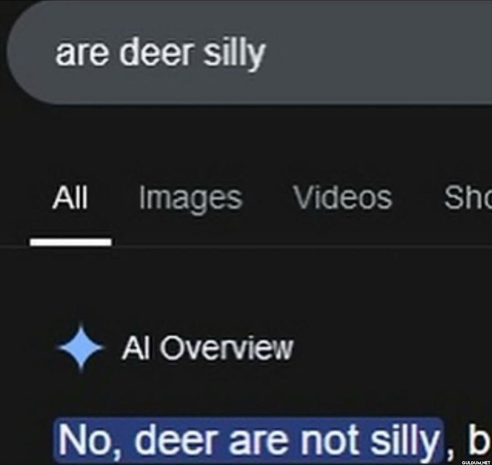 are deer silly All Images...