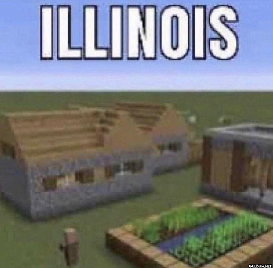 ILLINOIS