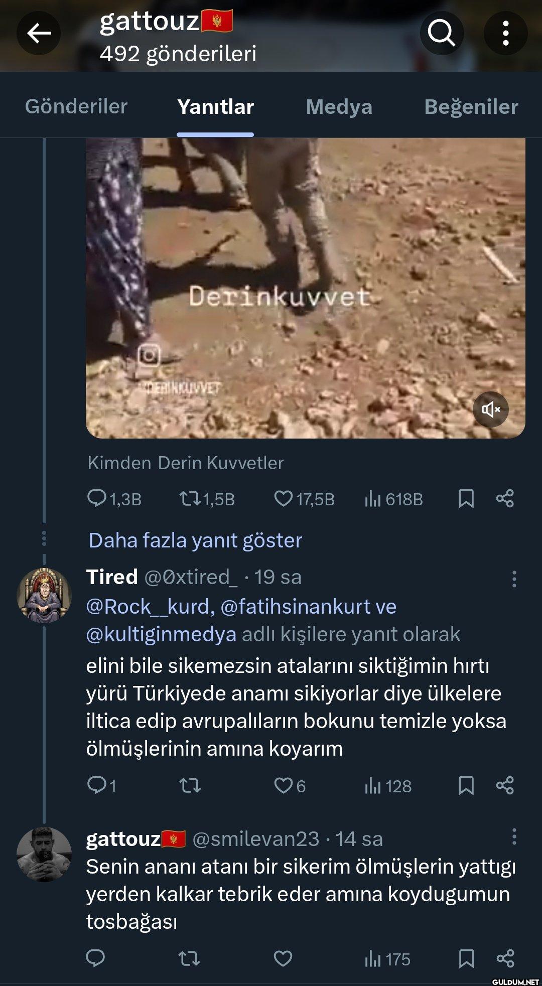 @gusholderhaber Şu at*nı...
