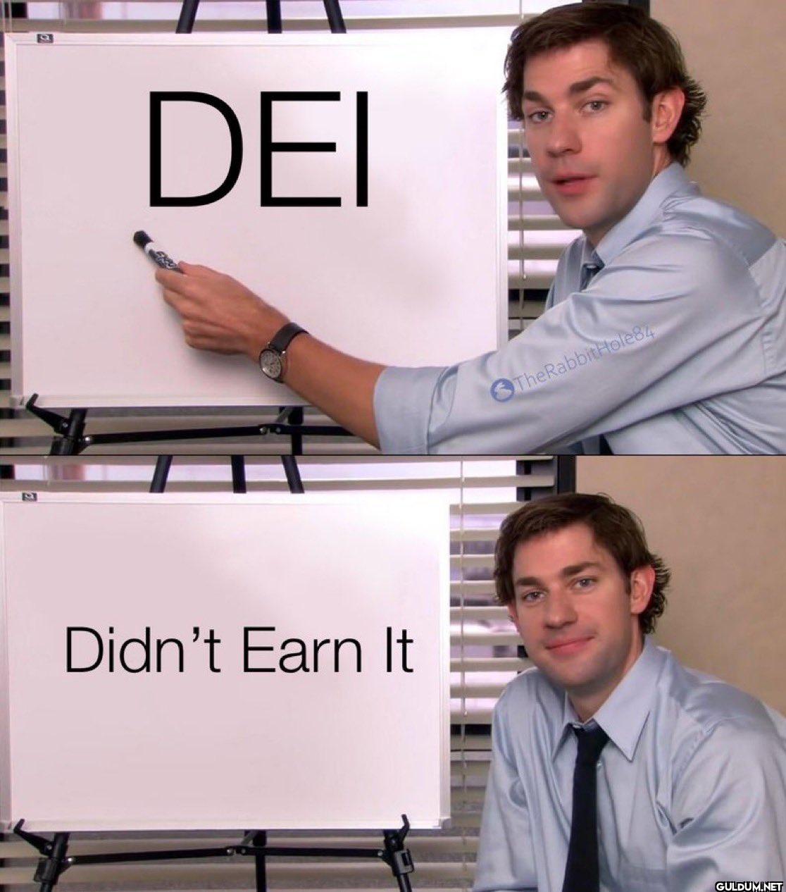 DEI Didn't Earn It TheRabbitHole84