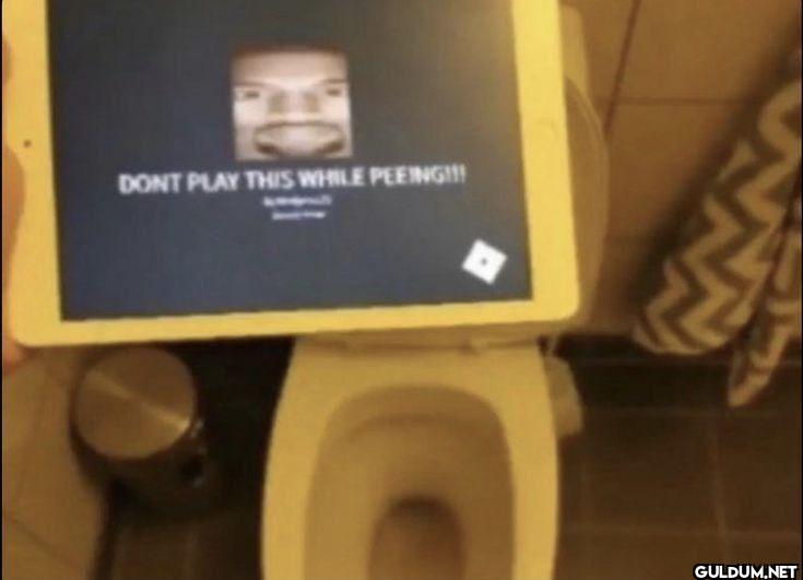 DON'T PLAY THIS WHILE PEEING!!