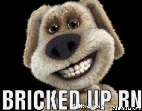 BRICKED UP RN dogfacehard