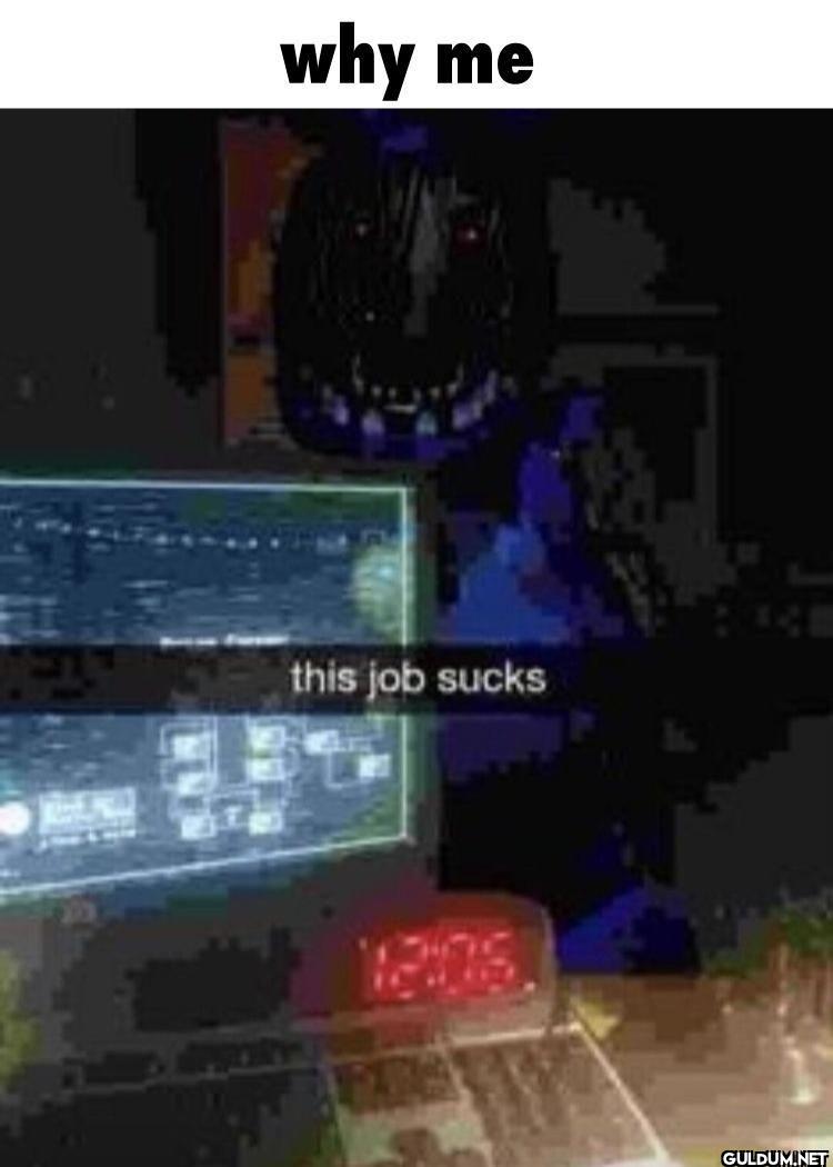 why me this job sucks