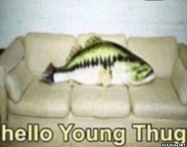 hello Young Thug