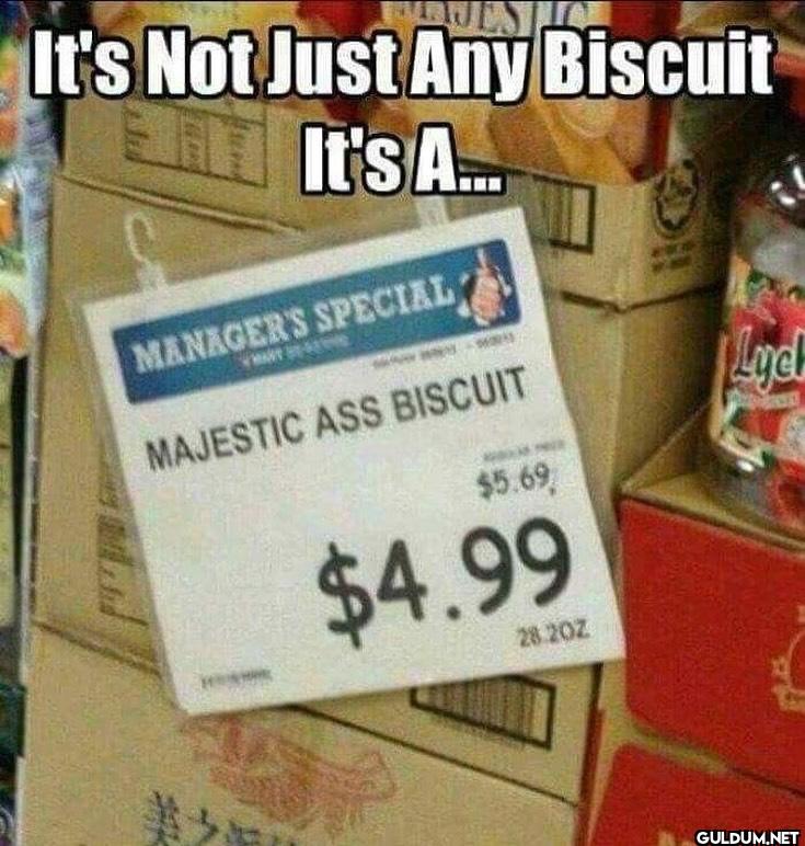 ︎ ︎    It's Not Just Any...