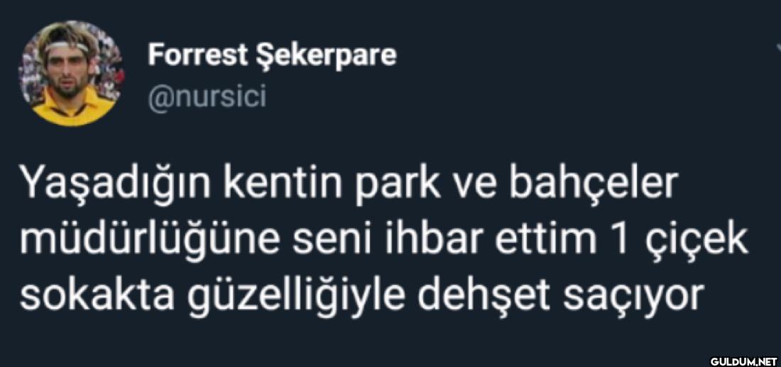 Yaşadığın kentin park ve...