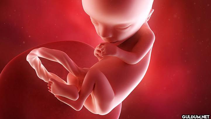 Me in the womb wasting...