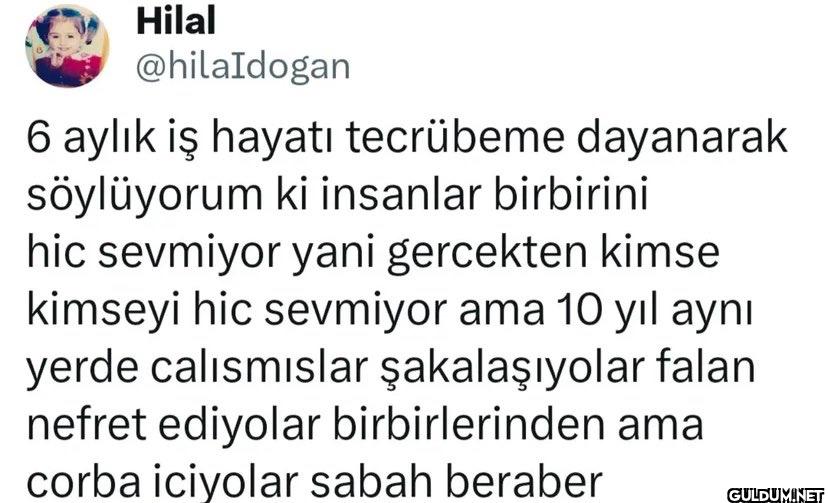 6 aylık iş hayatı...