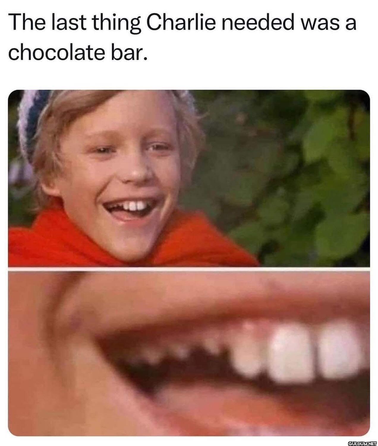 The last thing Charlie...