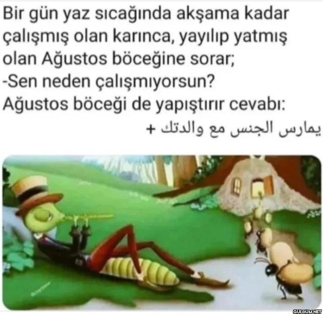 Bir gün yaz sıcağında...