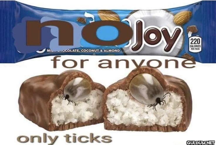 no Joy MIOCOLATE, COCONUT...