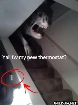 Yall fw my new thermostat?