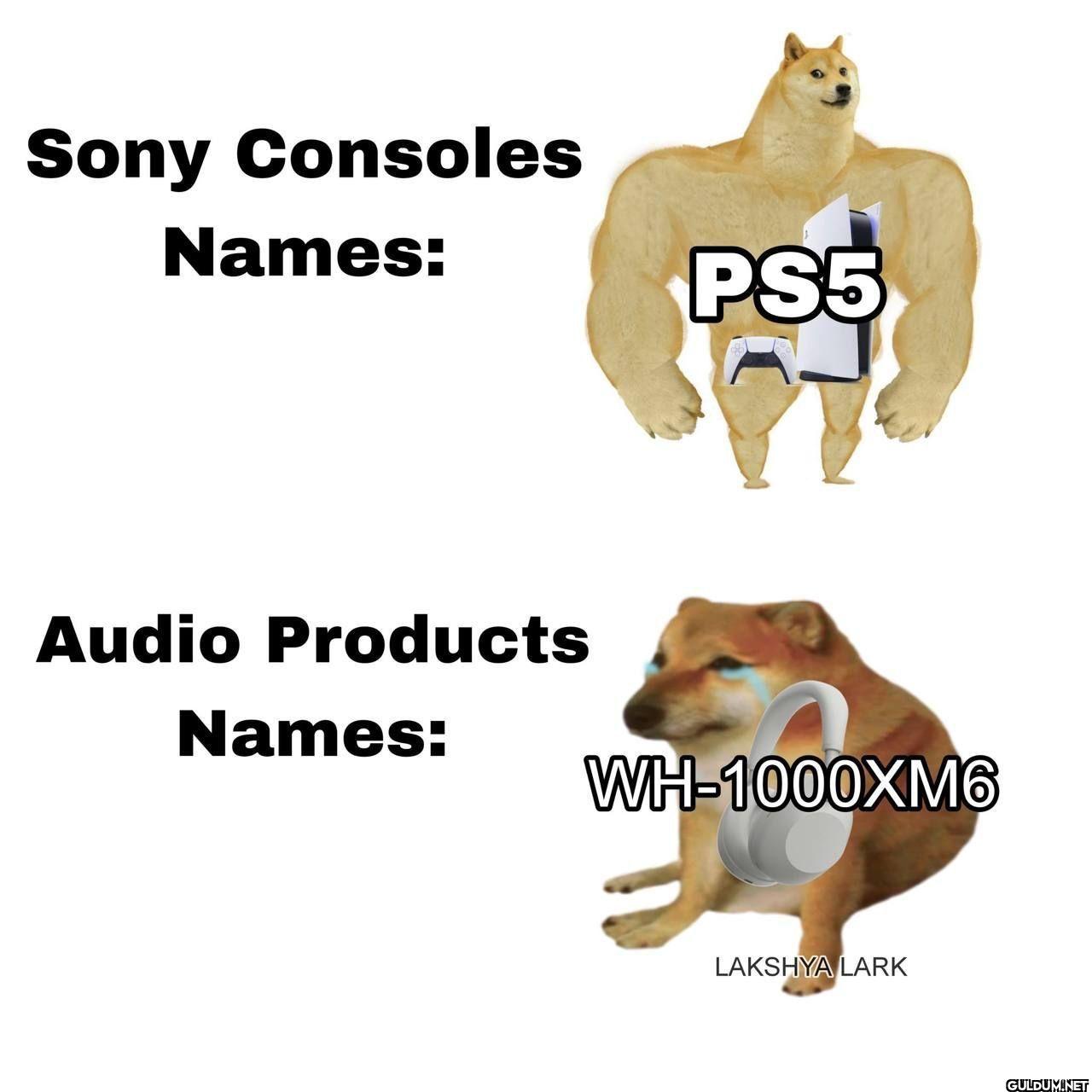 Sony Consoles Names: PS5...