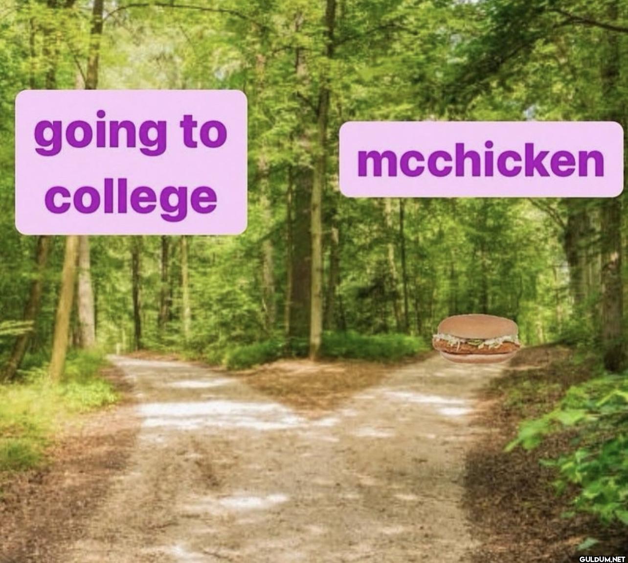 going to mcchicken college