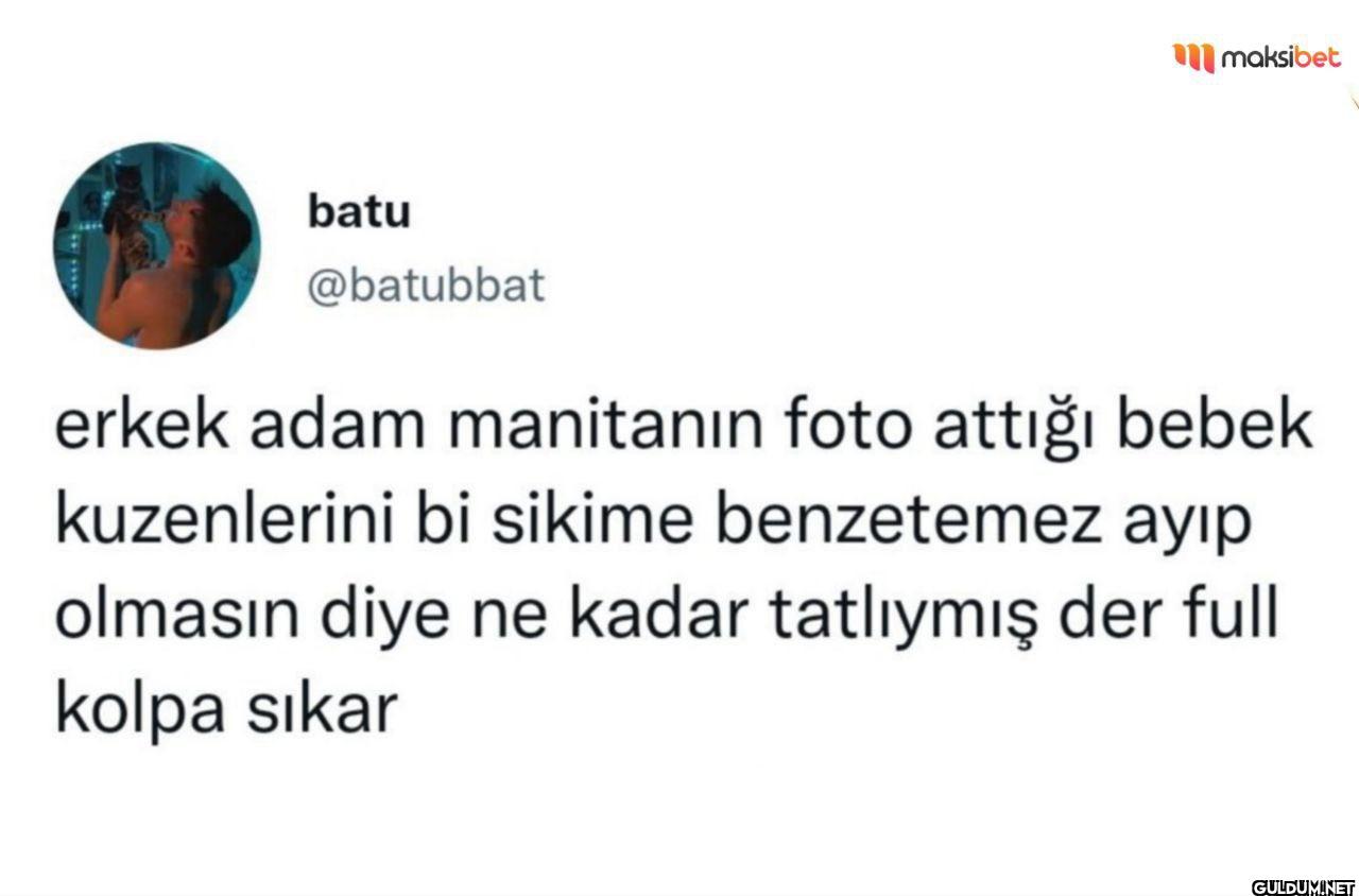 erkek adam manitanın foto...