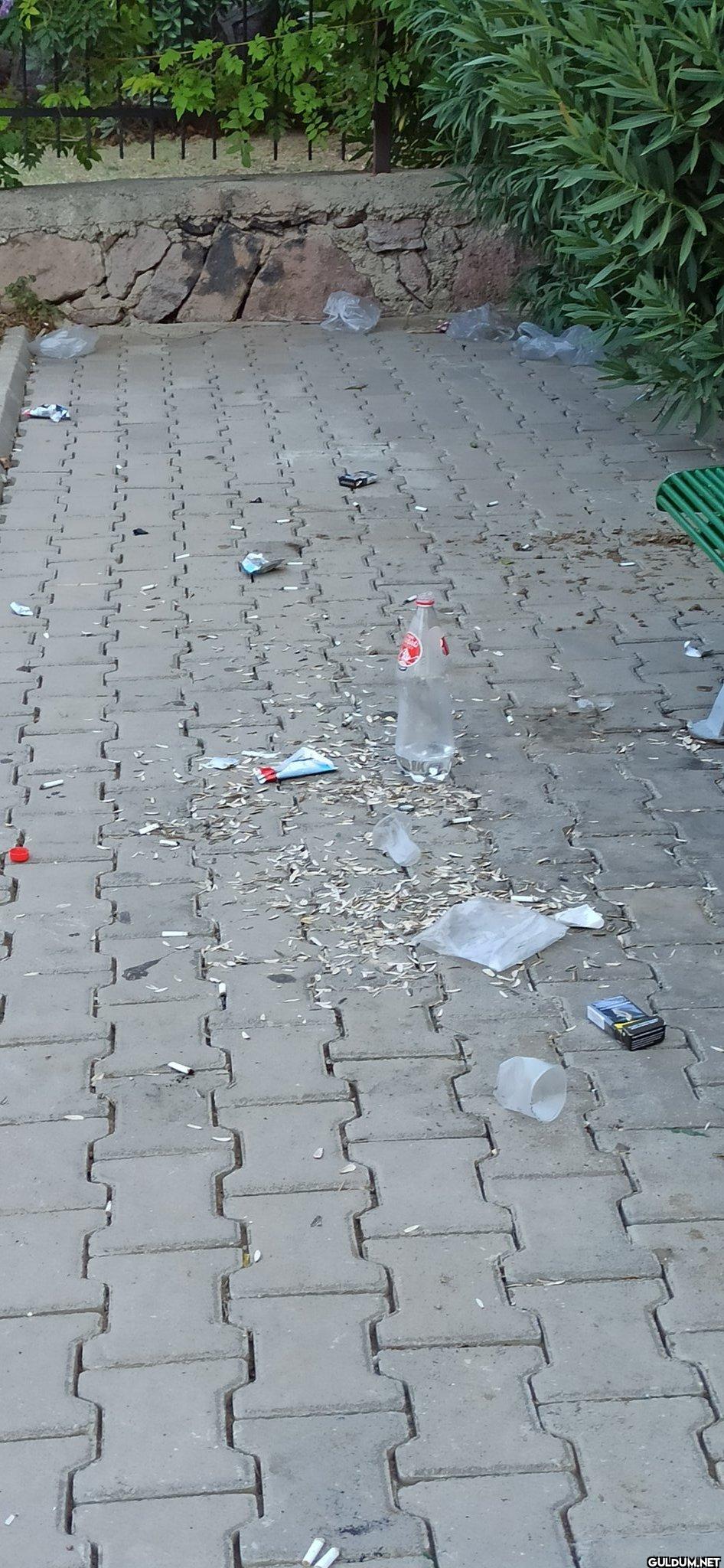 Sizce bu fotoğrafın ismi ne olsun ?