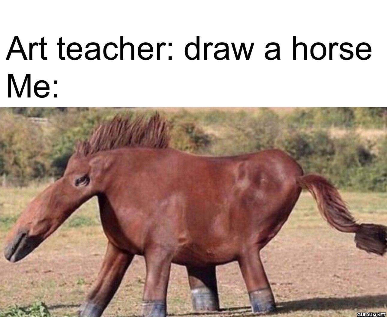 Art teacher: draw a horse Me: