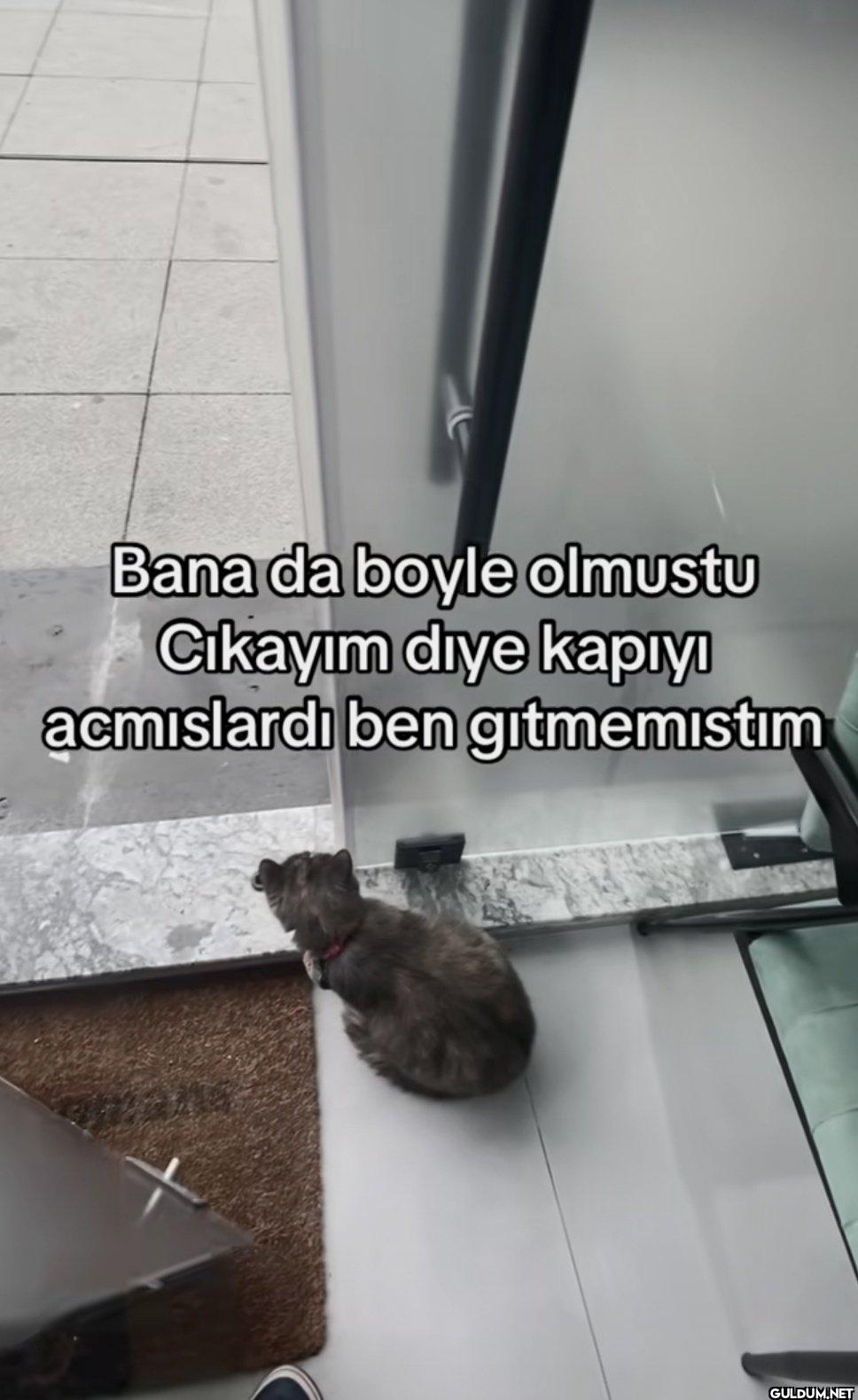 Bana da boyle olmustu...