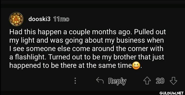 r/flashlights finds a hero...
